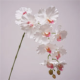 Artificial Phalaenopsis Orchid Stem - 38.6" - OpalFloarl-Premium artificial flowers and elegant vases to elevate your home decor.