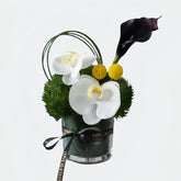 Classic Duo Miniature Garden Faux Orchid Arrangement in Glass Vase - OpalFloarl-Premium artificial flowers and elegant vases to elevate your home decor.