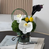 Classic Duo Miniature Garden Faux Orchid Arrangement in Glass Vase - OpalFloarl-Premium artificial flowers and elegant vases to elevate your home decor.