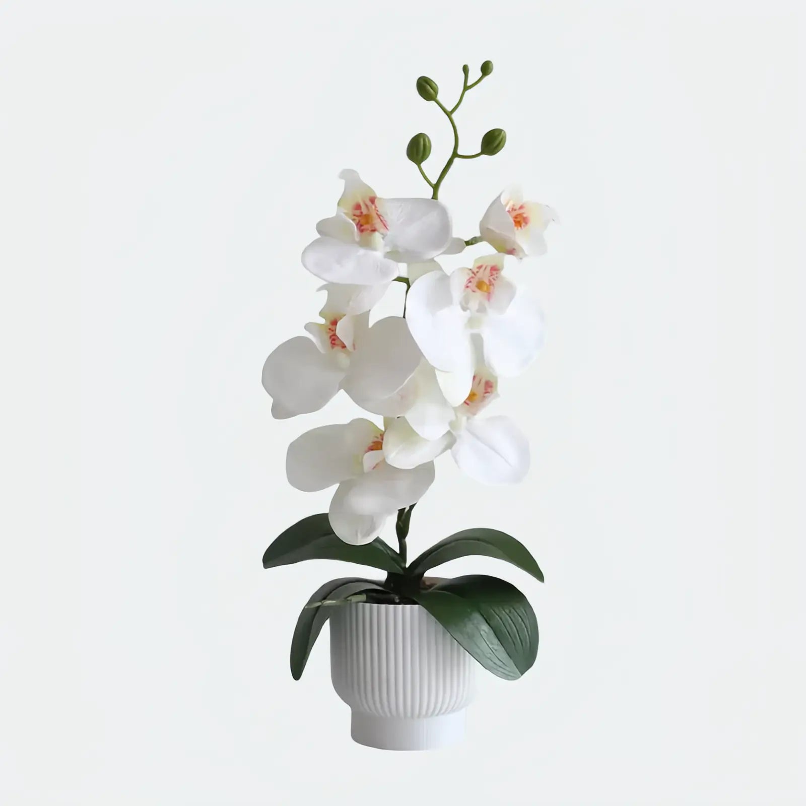 Elegant Potted Phalaenopsis Orchid – 3 Color Options - OpalFloarl-Premium artificial flowers and elegant vases to elevate your home decor.