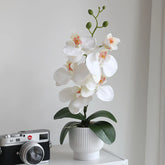 Elegant Potted Phalaenopsis Orchid – 3 Color Options - OpalFloarl-Premium artificial flowers and elegant vases to elevate your home decor.