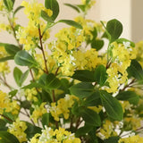 Lifelike Osmanthus Artificial Stems – Set of 12 - OpalFloarl-Premium artificial flowers and elegant vases to elevate your home decor.