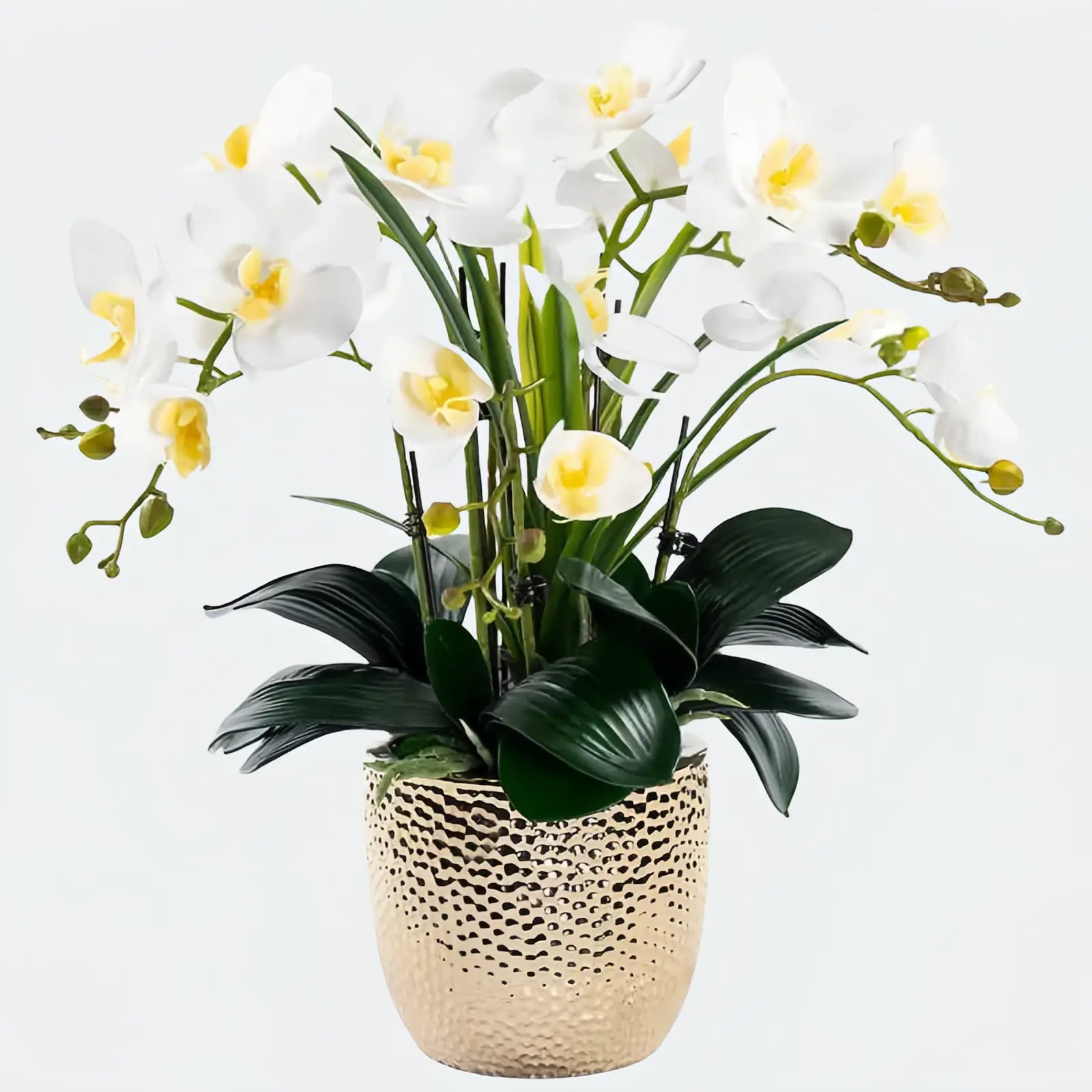 Opalfloral Classic White Orchid Arrangement in Gold Textured Metal Pot - OpalFloarl-Premium artificial flowers and elegant vases to elevate your home decor.
