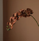 Opalfloral Elegant Butterfly Orchid Arrangement with Vase - Three Color Options - OpalFloarl-Premium artificial flowers and elegant vases to elevate your home decor.