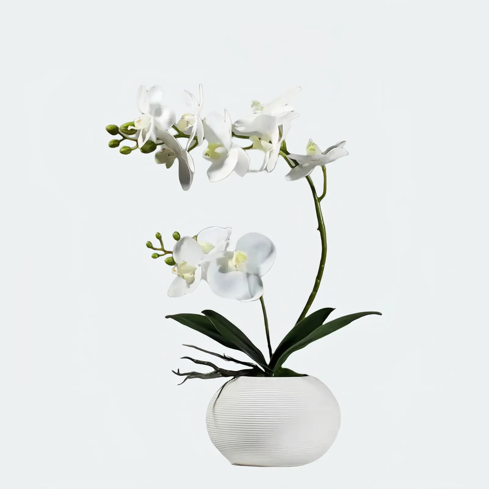 Opalfloral Elegant Faux Orchid Arrangement – Available in White, Pink, Yellow, and Red - OpalFloarl-Premium artificial flowers and elegant vases to elevate your home decor.