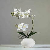 Opalfloral Elegant Faux Orchid Arrangement – Available in White, Pink, Yellow, and Red - OpalFloarl-Premium artificial flowers and elegant vases to elevate your home decor.