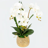 Opalfloral Elegant White Orchid Arrangement in Gold Honeycomb Ceramic Planter - OpalFloarl-Premium artificial flowers and elegant vases to elevate your home decor.