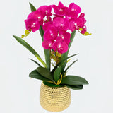 Opalfloral Elegant White Orchid Arrangement in Gold Honeycomb Ceramic Planter - OpalFloarl-Premium artificial flowers and elegant vases to elevate your home decor.