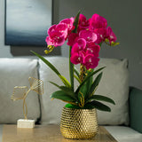 Opalfloral Elegant White Orchid Arrangement in Gold Honeycomb Ceramic Planter - OpalFloarl-Premium artificial flowers and elegant vases to elevate your home decor.