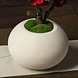 Opalfloral Graceful Faux Plum Blossom Arrangement – Available in White, Pink, Yellow, and Red - OpalFloarl-Premium artificial flowers and elegant vases to elevate your home decor.