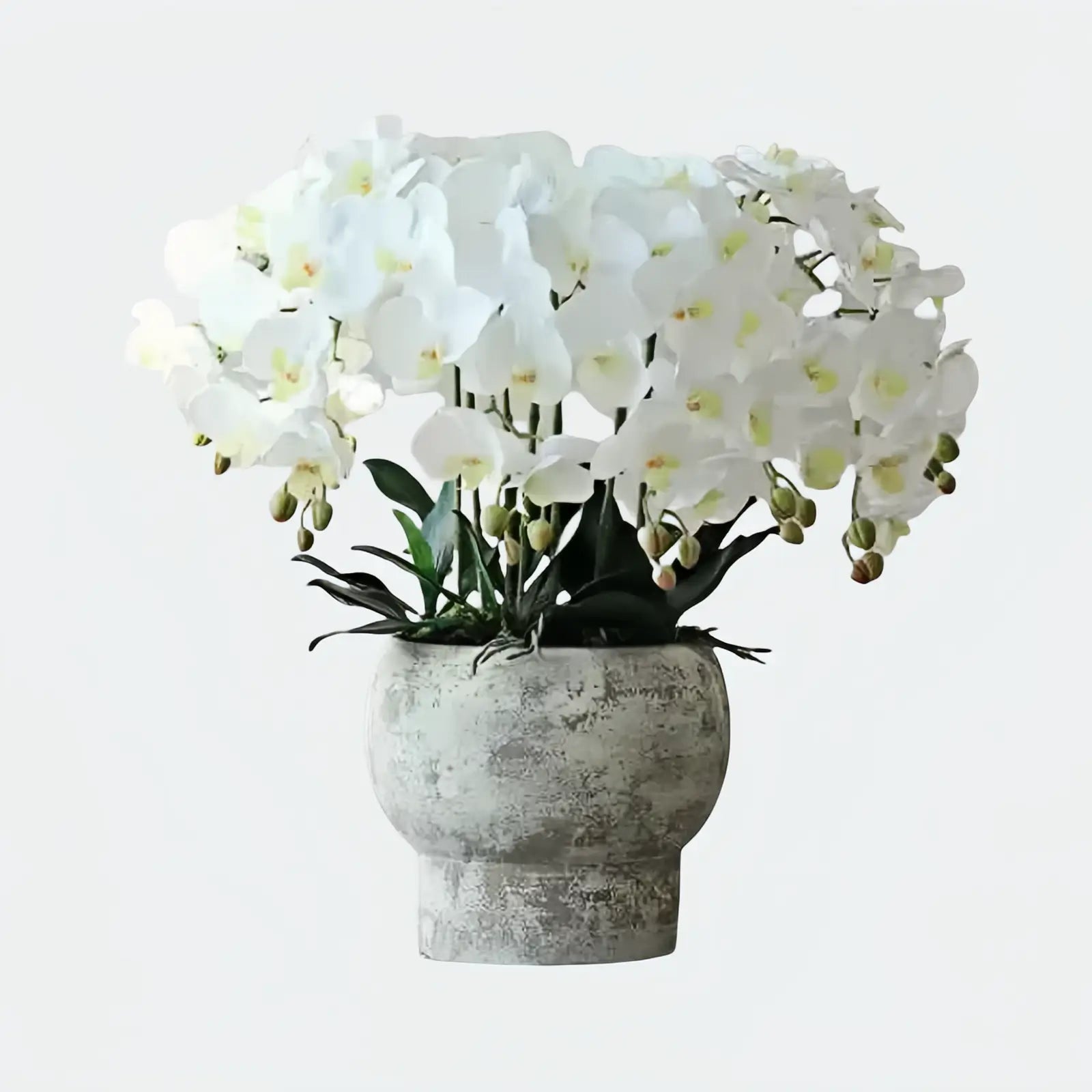 Opalfloral Luxurious Faux Orchid Arrangement in Stone-Textured Pot – White & Beige Models - OpalFloarl-Premium artificial flowers and elegant vases to elevate your home decor.