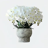 Opalfloral Luxurious Faux Orchid Arrangement in Stone-Textured Pot – White & Beige Models - OpalFloarl-Premium artificial flowers and elegant vases to elevate your home decor.