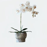 Opalfloral Luxurious Faux Orchid Arrangement in Stone-Textured Pot – White & Beige Models - OpalFloarl-Premium artificial flowers and elegant vases to elevate your home decor.