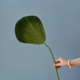 Opalfloral Grand Faux Floral Arrangement with Protea, Orchid, and Calla Lilies in Textured Glass Vase - OpalFloarl-Premium artificial flowers and elegant vases to elevate your home decor.