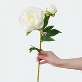 Opalfloral Lifelike White Peony Artificial Bouquet - Elegant Décor - OpalFloarl-Premium artificial flowers and elegant vases to elevate your home decor.