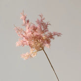 Opalfloral Pink Faux Pampas Grass - Single Stem - OpalFloarl-Premium artificial flowers and elegant vases to elevate your home decor.