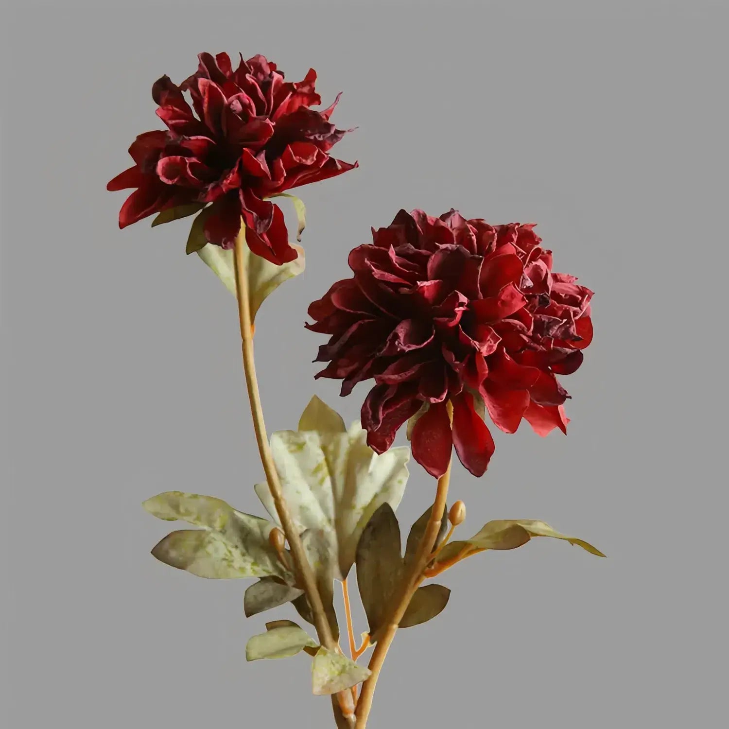 Artificial Two-Headed Peony Stem - 22.8"