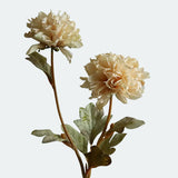 Artificial Two-Headed Peony Stem - 22.8"