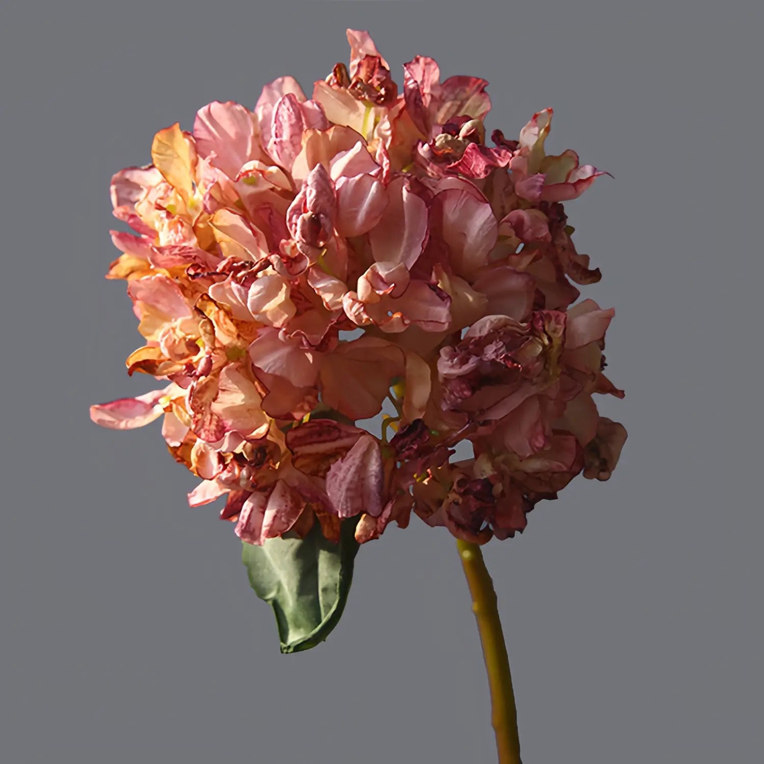 Artificial Scorched Edge Hydrangea - 14.2"