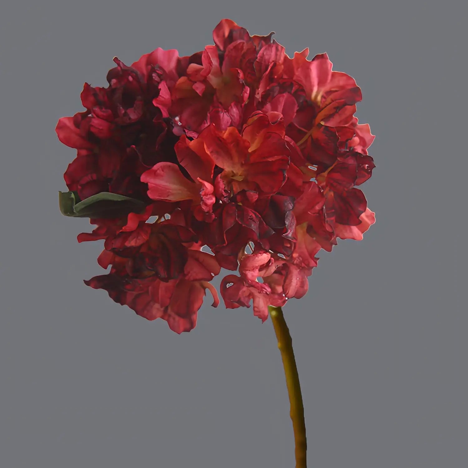 Artificial Scorched Edge Hydrangea - 14.2"