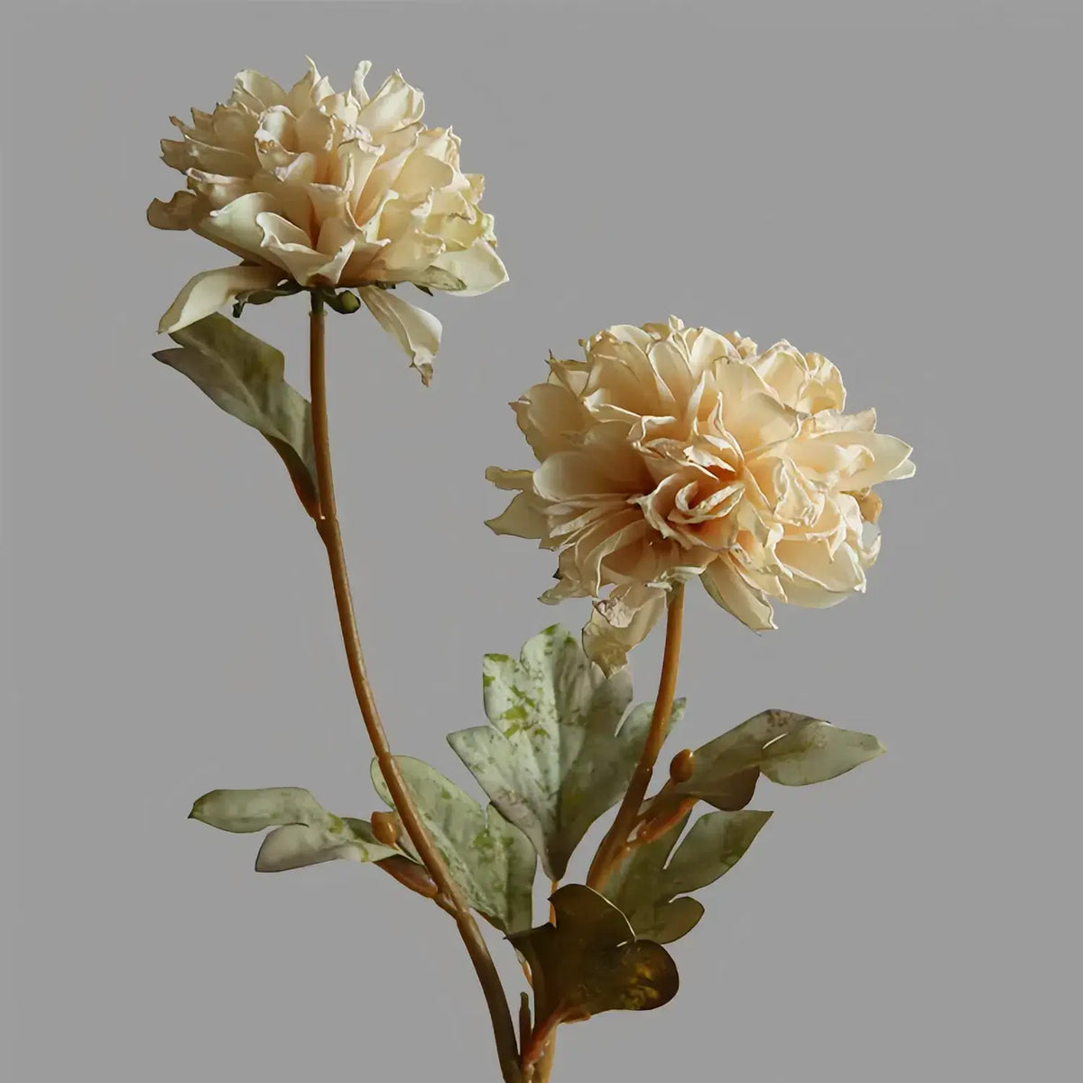 Artificial Two-Headed Peony Stem - 22.8"