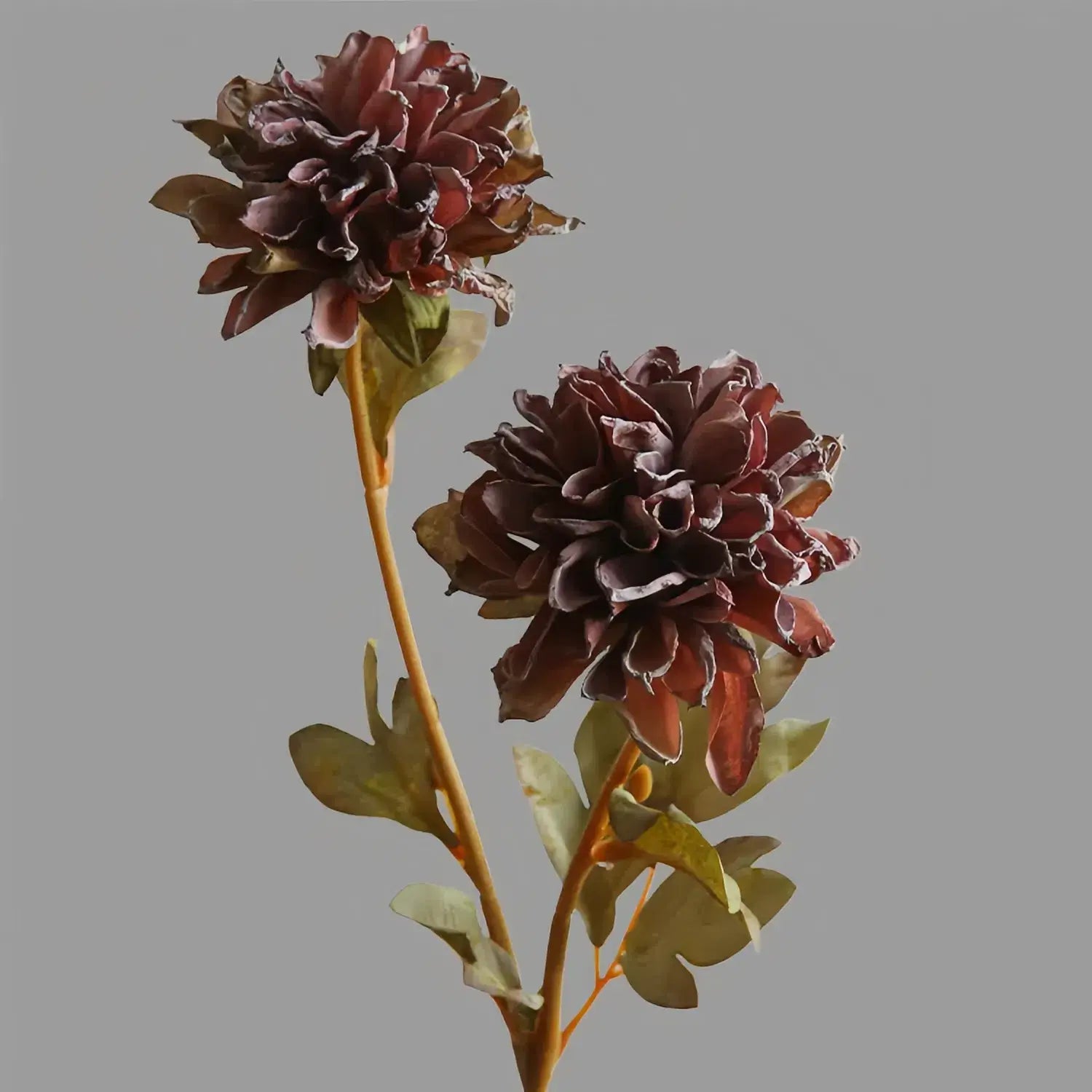 Artificial Two-Headed Peony Stem - 22.8"