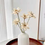 Opalfloral Beige Daisy Dried Flower Set – Minimalist Arrangement with White Ceramic Vase, 11.8'' Tall