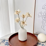 Opalfloral Beige Daisy Dried Flower Set – Minimalist Arrangement with White Ceramic Vase, 11.8'' Tall