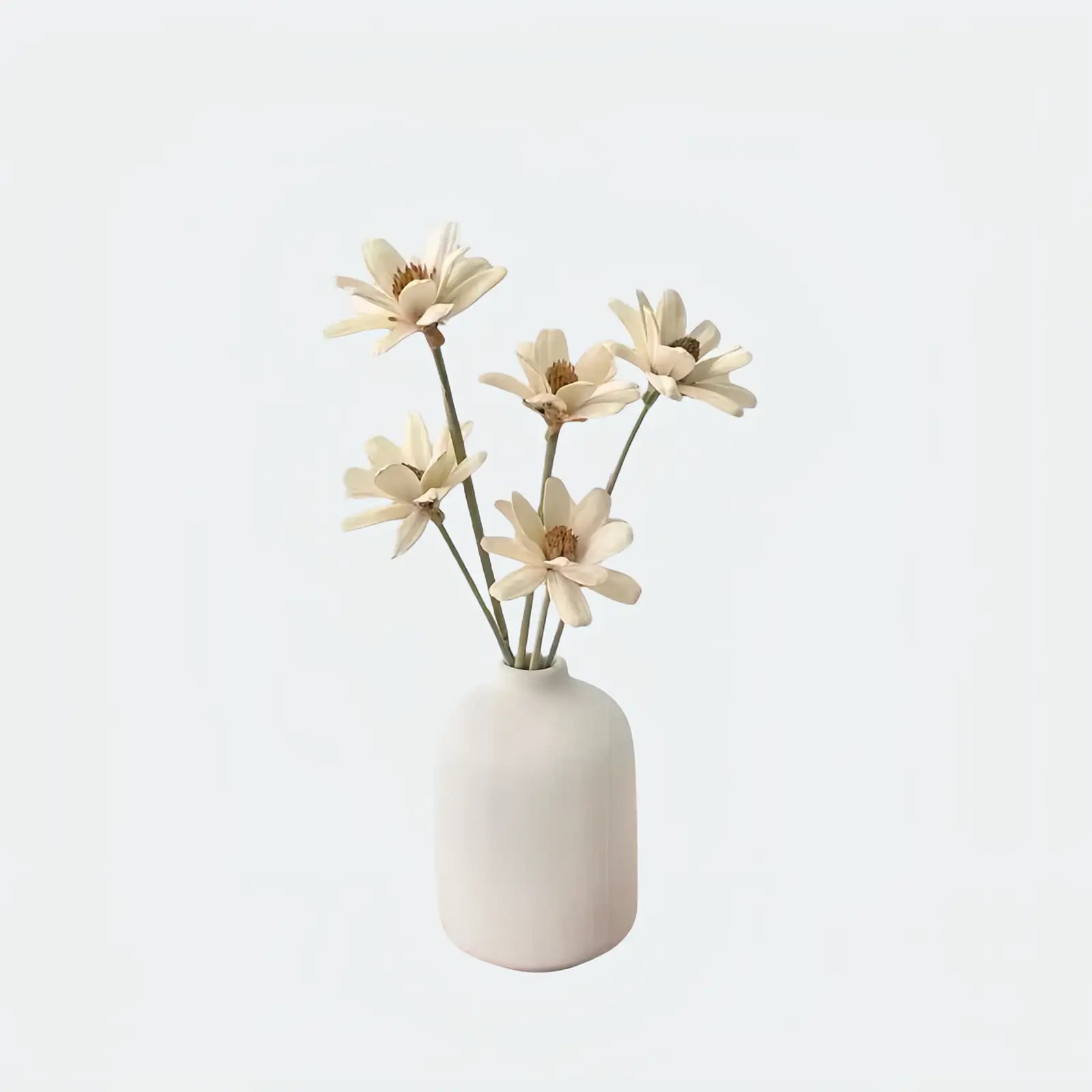 Opalfloral Beige Daisy Dried Flower Set – Minimalist Arrangement with White Ceramic Vase, 11.8'' Tall