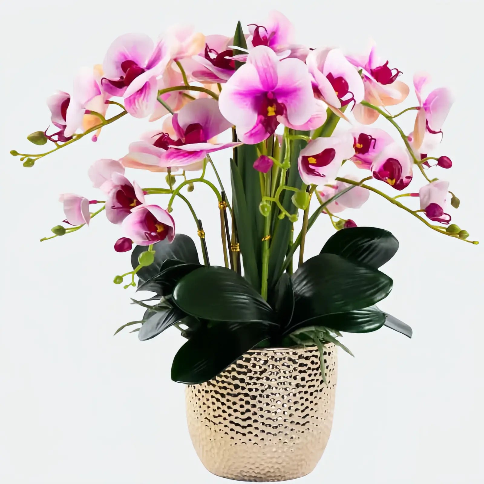 Opalfloral Classic White Orchid Arrangement in Gold Textured Metal Pot