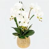 Opalfloral Elegant White Orchid Arrangement in Gold Honeycomb Ceramic Planter