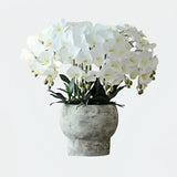 Opalfloral Luxurious Faux Orchid Arrangement in Stone-Textured Pot – White & Beige Models