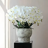 Opalfloral Luxurious Faux Orchid Arrangement in Stone-Textured Pot – White & Beige Models