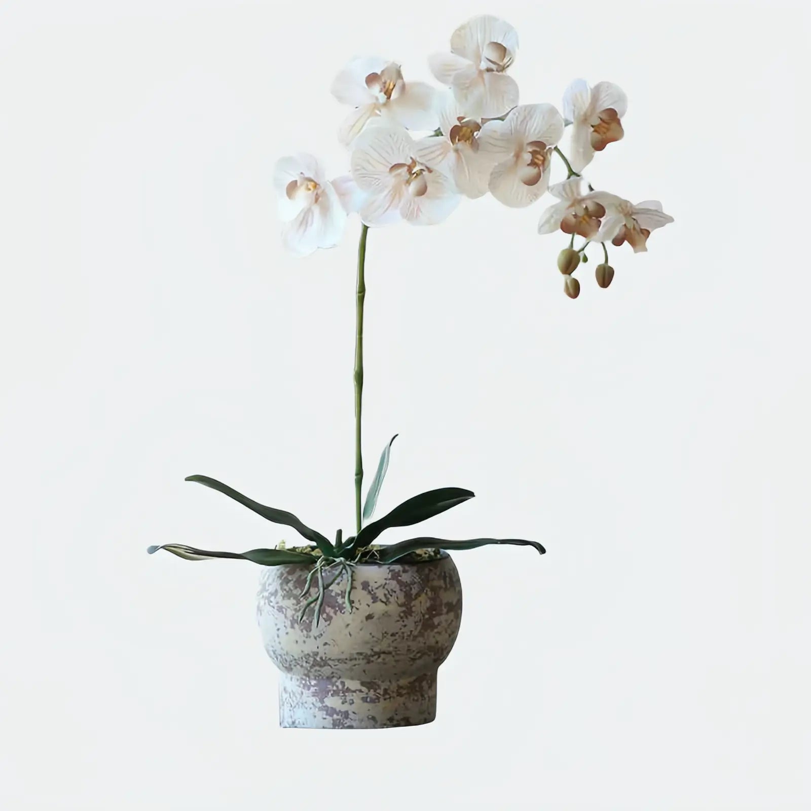 Opalfloral Luxurious Faux Orchid Arrangement in Stone-Textured Pot – White & Beige Models